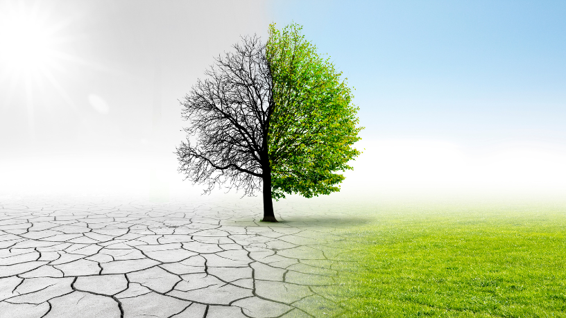 Quando a informação climática é mal lida, o risco aumenta e as escolhas se distorcem — um alerta reforçado por Gustavo Morceli.